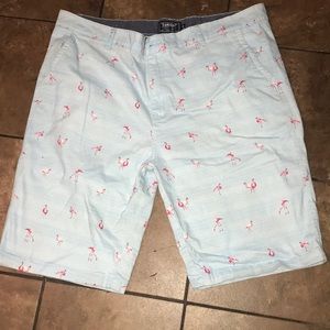 Men’s Flamingo Shorts